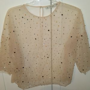 Zara beaded sheer blush top